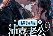 小说《结婚后,冲喜老公成教授,还死盯我!》章节免费阅读-瑞奇文学