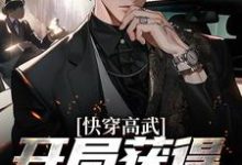 想读黎渊的故事,哪里可以免费找到快穿高武:开局获得不朽金身?-瑞奇文学