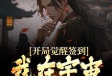 叶梵为主角的小说叫什么?免费看开局觉醒签到,我在宇宙无敌了-瑞奇文学