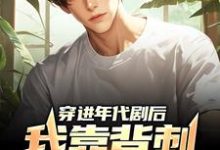 穿进年代剧后,我靠背刺他人变强小说,穿进年代剧后,我靠背刺他人变强在线阅读-瑞奇文学