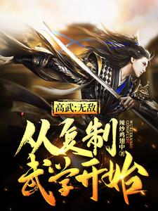 《高武：无敌从复制武学开始》小说大结局免费试读 沈北钟小爽吴下沈苇之小说