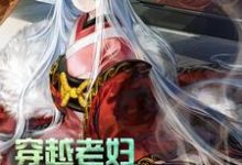 满星卫承宽卫承启方荷是哪本书的主角?寻找穿越老妇:我累了,求躺平!免费阅读-瑞奇文学