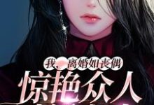 完结版《我，离婚如丧偶，惊艳众人过新人生》章节阅读-瑞奇文学