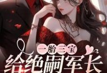 一胎三宝，给绝嗣军长来点震撼叶舒霍亦晟小说在线章节免费阅读-瑞奇文学
