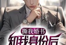 撕我婚书,知我身份后却舔上来了?小说,撕我婚书,知我身份后却舔上来了?免费阅读-瑞奇文学