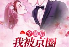 主人公明迟迟段京墨小说穿越后,我被京圈太子爷爆宠了在线章节阅读-瑞奇文学