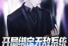 开局绑定无敌系统,我在四合院整活小说,开局绑定无敌系统,我在四合院整活免费阅读-瑞奇文学