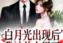 白月光出现后,我被前夫甩了小说的免费阅读版本在哪里可以找到?-瑞奇文学