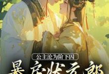 公主沦为阶下囚，暴戾状元郎失控了小说全文哪里可以免费看？-瑞奇文学