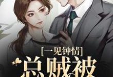 一见钟情，总贼被戏耍了闻书砚沈知蒽小说在线章节目录阅读最新章节-瑞奇文学