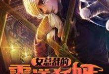 女总裁的霸道狂婿小说,女总裁的霸道狂婿最新章节-瑞奇文学