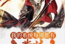 玄幻：我的系统每周都有免费装备免费阅读，玄幻：我的系统每周都有免费装备陈兵秀儿-瑞奇文学