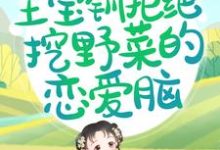 主人公叫王宝钏白瑜的小说哪里免费看-瑞奇文学