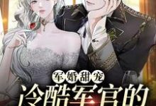 已完结小说《军婚甜宠:冷酷军官的全能娇妻》章节在线阅读-瑞奇文学