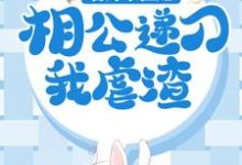 替嫁小医妃，相公递刀我虐渣苏棠谢柏庭小说在线章节免费阅读-瑞奇文学