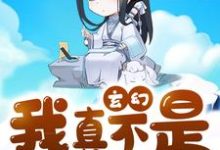 苏晨柳玉婵小说在哪里可以看-瑞奇文学