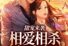 甜宠来袭：相爱相杀何太急免费阅读，甜宠来袭：相爱相杀何太急章节在线阅读-瑞奇文学