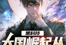 黑科技:大国崛起从改飞船说起小说的无弹窗阅读体验,寻找免费阅读网站-瑞奇文学