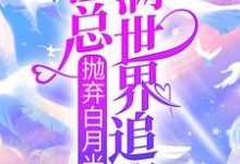 主人公叫傅知野叶迟迟的小说哪里免费看-瑞奇文学