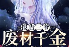 寻找报告三爷，废材千金飒爆了小说的最新更新章节-瑞奇文学