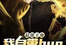 《最强主角：我自带bug降生游戏》全集免费在线阅读（陆离林夕）-瑞奇文学