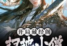 完整版的开局藏经阁扫地小僧，我无敌了小说在哪里可以免费读到？-瑞奇文学