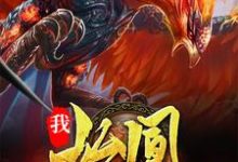 我,始凰,带领凤凰族退隐小说全文阅读需要付费吗?寻找免费资源-瑞奇文学