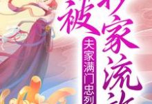 赫知冉墨玖晔小说《夫家满门忠烈,却被抄家流放?》在线阅读-瑞奇文学