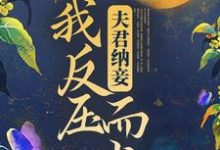 颜若回萧修永小说《夫君纳妾，我反压而上》在线阅读-瑞奇文学