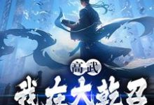 求高武:我在大乾召唤历史英雄小说免费资源-瑞奇文学