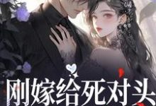 刚嫁给死对头,他就骗我生崽这本小说怎么样?免费在线阅读试试-瑞奇文学