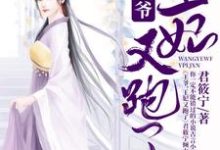 主角宁月羿泓小说王爷，王妃又跑了免费阅读-瑞奇文学