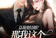 总裁要结婚?那我这个小情人怎么办小说的所有章节都能在哪里免费读到?-瑞奇文学