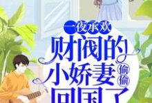 一夜承欢:财阀的小娇妻偷偷回国了小说完结了吗?在哪里可以免费读到?-瑞奇文学