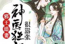 凌瑜萧霖天的小说在哪里看?免费在线阅读邪王追妻:神医狂妃很嚣张-瑞奇文学