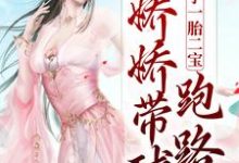 俘获太子一胎二宝，娇娇带球跑路了免费阅读，俘获太子一胎二宝，娇娇带球跑路了章节目录-瑞奇文学