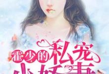 《霍少的私宠小娇妻》小说章节列表免费试读,陶羡鱼霍司捷小说在线阅读-瑞奇文学