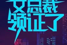 《一觉醒来，我和女总裁领证了》小说大结局免费试读 叶辰顾倾城姚静汤若男小说-瑞奇文学