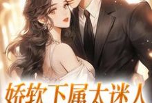 已完结小说《娇软下属太迷人,霸总深陷其中》章节在线阅读-瑞奇文学