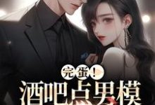 完蛋!酒吧点男模被总裁抓包了这本小说怎么样?免费在线阅读试试-瑞奇文学