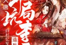 大唐:开局坑李二造反小说有没有完结版在线?-瑞奇文学