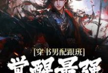 小说《穿书男配跟班,觉醒最强系统》章节免费阅读-瑞奇文学