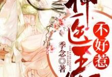 神医王妃不好惹小说的所有章节都能在哪里免费读到？-瑞奇文学