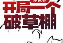 异世界：开局一个破草棚小说全文哪里可以免费看？-瑞奇文学