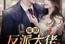 免费在线阅读爆撩!反派大佬别太爱小说的正规网站有哪些?-瑞奇文学