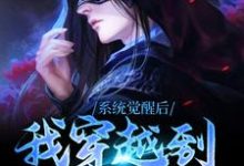 系统觉醒后,我穿越到了异世界小说阅读,系统觉醒后,我穿越到了异世界完结版-瑞奇文学