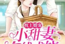 《枕上婚宠:小甜妻在线求饶》全集免费在线阅读(顾峥路景淮)-瑞奇文学