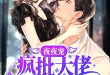 完结版《夜夜宠，疯批大佬霸道撩妻》免费阅读-瑞奇文学