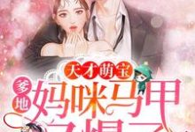 天才萌宝：爹地，妈咪马甲又爆了章节免费在线阅读，左初萌闵筠寒顾不言岑思忆完结版-瑞奇文学