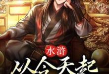 小说《水浒:从今天起,梁山我做主》在线章节阅读-瑞奇文学